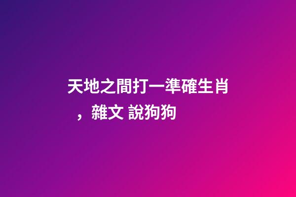 天地之間打一準確生肖，雜文 說狗狗